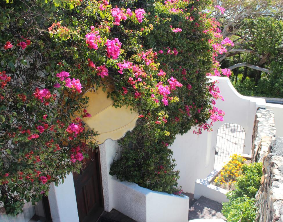 Sunset Apartment كيب تاون المظهر الخارجي الصورة